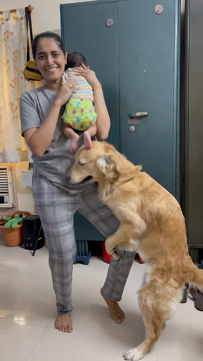 Dog consoles crying baby | Female dogs humping #dogshorts #babyanddog #goldenretriever #funnyshorts