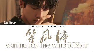 罗云熙(Luo Yunxi) - 等风停(Waiting For The Wind To Stop) (Chi/Pinyin/Eng lyrics)