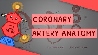 Coronary Artery Anatomy & Myocardial Infarction by ATP 479 views 2 months ago 7 minutes, 18 seconds