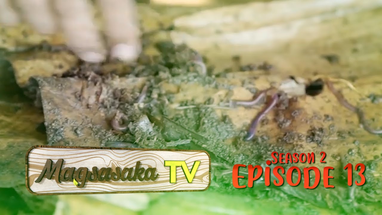 Vermiculture (Episode 13)