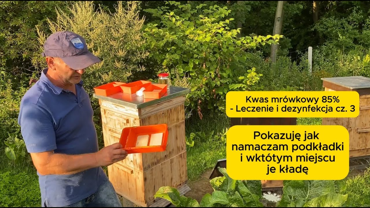 Kwas mrówkowy 85% - Leczenie i dezynfekcja cz. 3. #bee #beekeeping