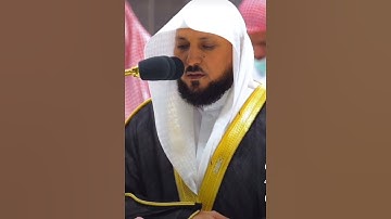 تلاوة فضيلة الشيخ.د.#ماهر_المعيقلي من#سورةالفجر #تلاوة_خاشعة #تلاوات #المسجد_الحرام #بندر_بليلة