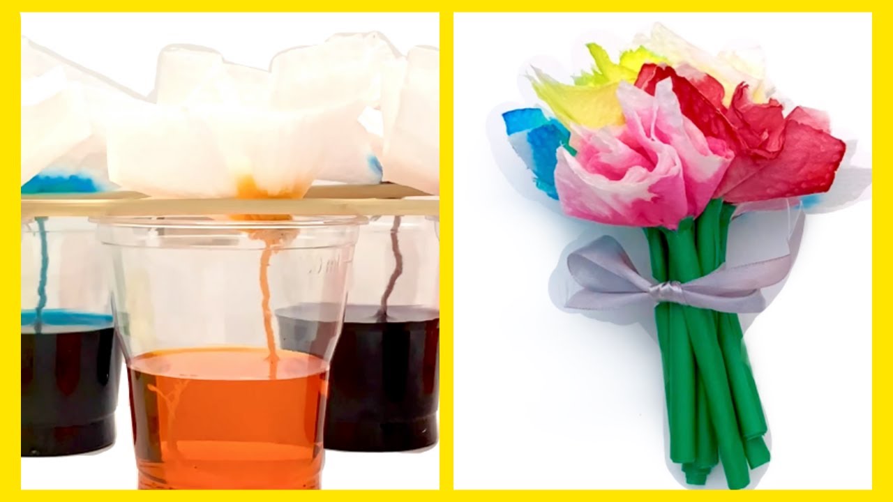 How to make a bouquet of dyed paper towel flowers YouTube