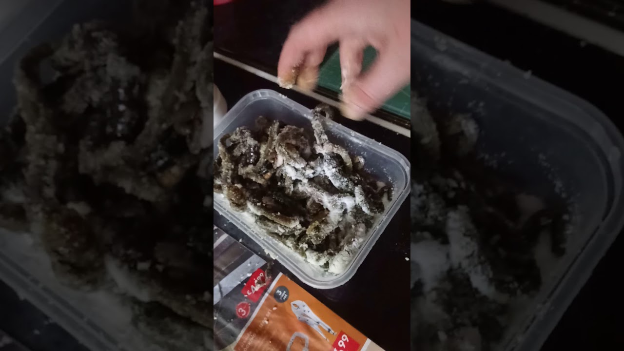 Lug worm bait storage for fishing 