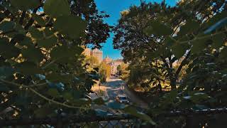 TV BACKGROUND 📸 |  NYC Central Park Spring Leaves | 4K City View | Backdrop | TV background  🍂🗽 screenshot 2