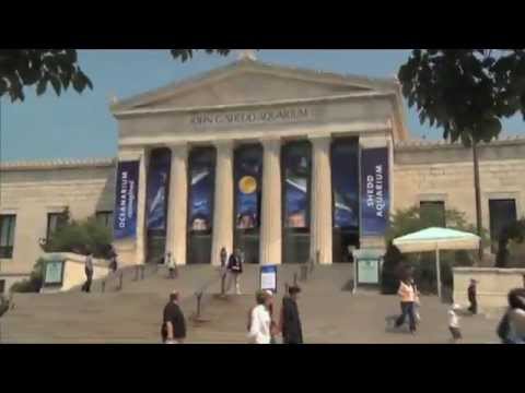 citybuzz-chicago:-shedd-aquarium