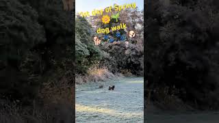 1St Day Of Spring Dog Walk