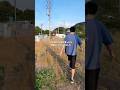 1700万で買った土地、農地で大変でした…。#shorts