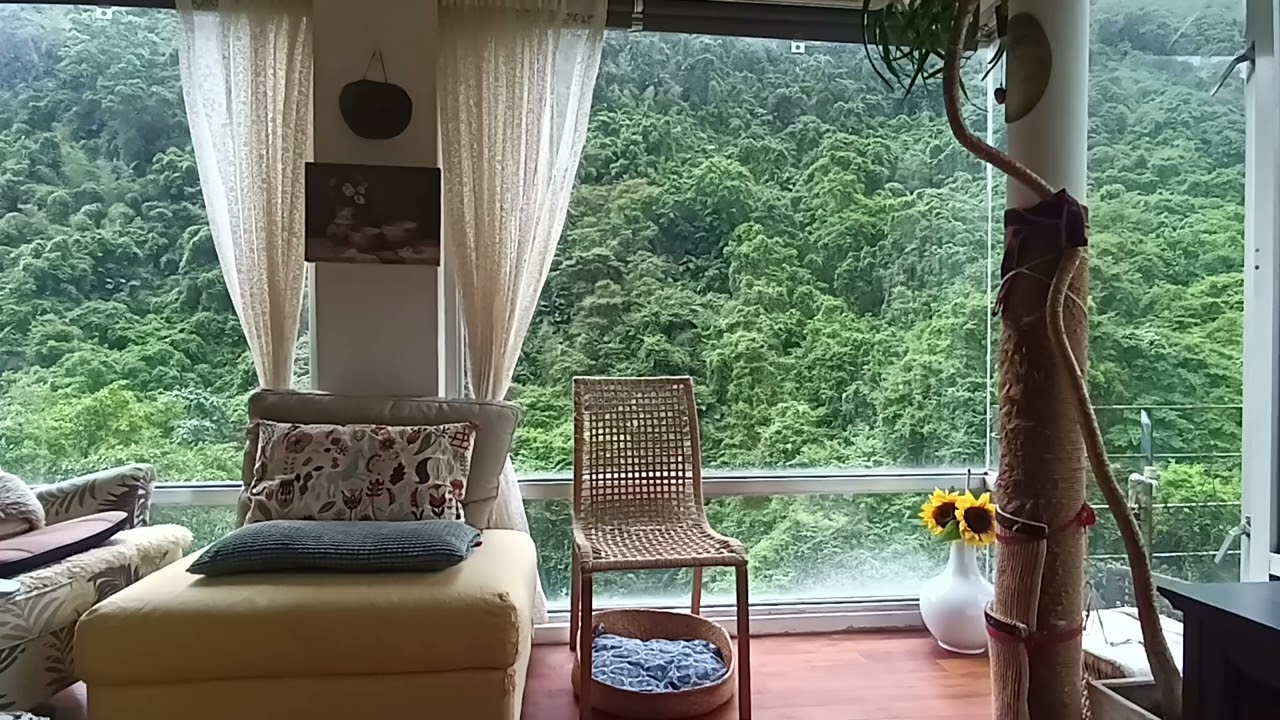 Michael Singer - Life is intentional, deliberate, purposeful and consciousness