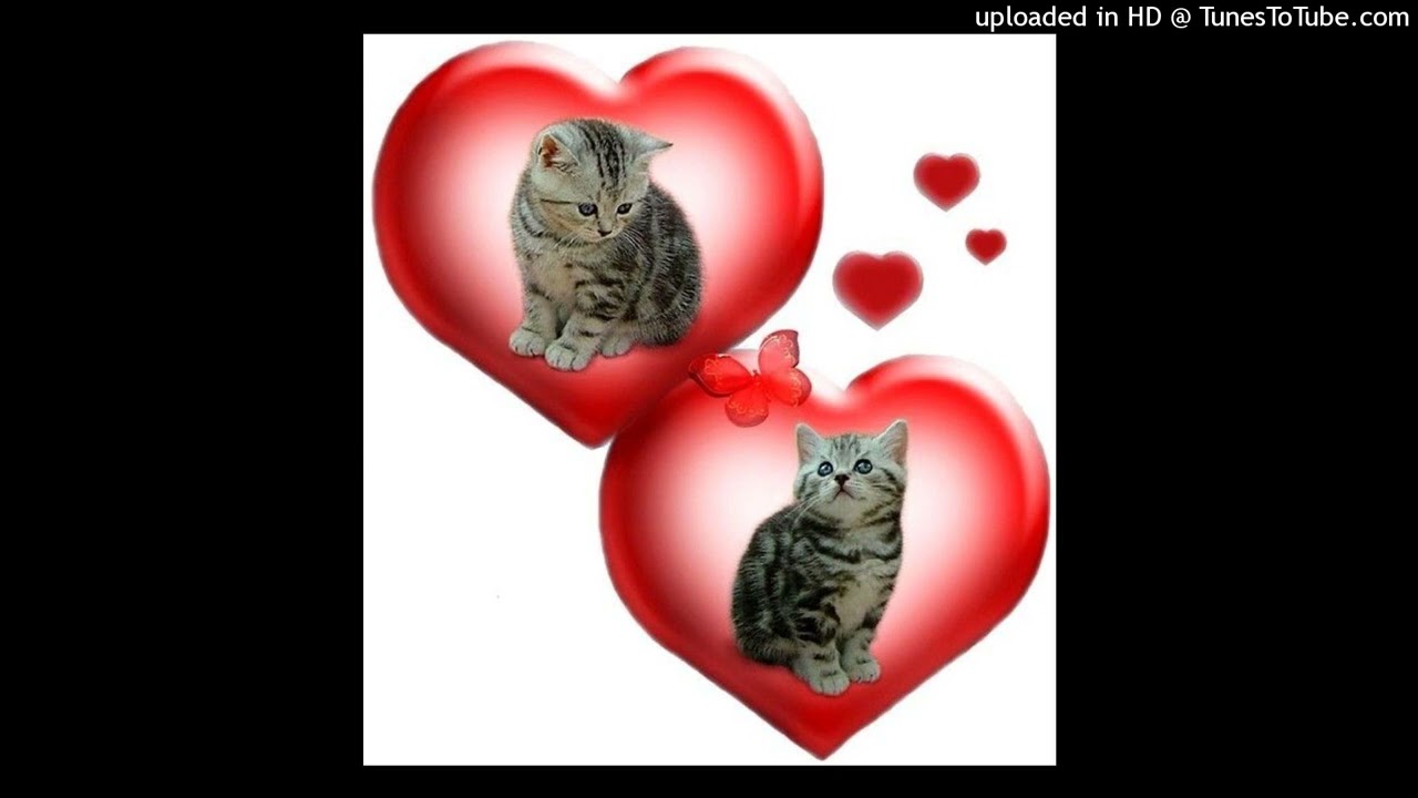 [free] plugg + calm jerk type beat - 