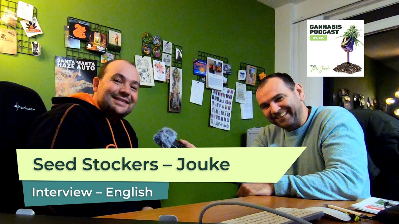 Интервью с Джуке из Seed Stockers