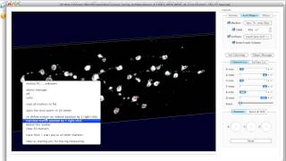 v3dneuron 1 0 pinpoint and trace edit