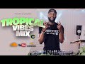 Tropical vibes mixtape 110  caribbean mix 2022 afrodancehall latin soca