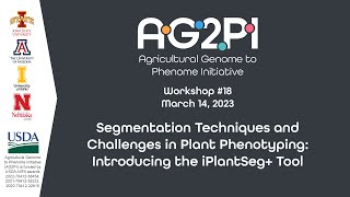 AG2PI Workshop #18 - Segmentation Techniques and Challenges in Plant Phenotyping: iPlantSeg+ Tool