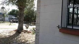 4409 W Knollwood St Tampa, FL 33614