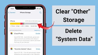 Need Help! | How to clear this iphone system data? #iphone #ios #help #video