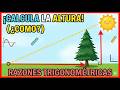 ✅👉Problemas de Razones Trigonometricas ✅Hallar lados.