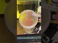 How to set up a brine shrimp hatchery (very simple!)