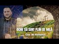 Elvis din Bărbulești - OCHII TĂI SUNT PLINI DE MILĂ (cover)