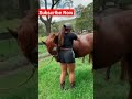 Horse want girls ass..... 👍👍👍👍#beasttrailer #tranding #shots