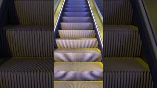 Why Escalator Steps have Grooves (important) #short