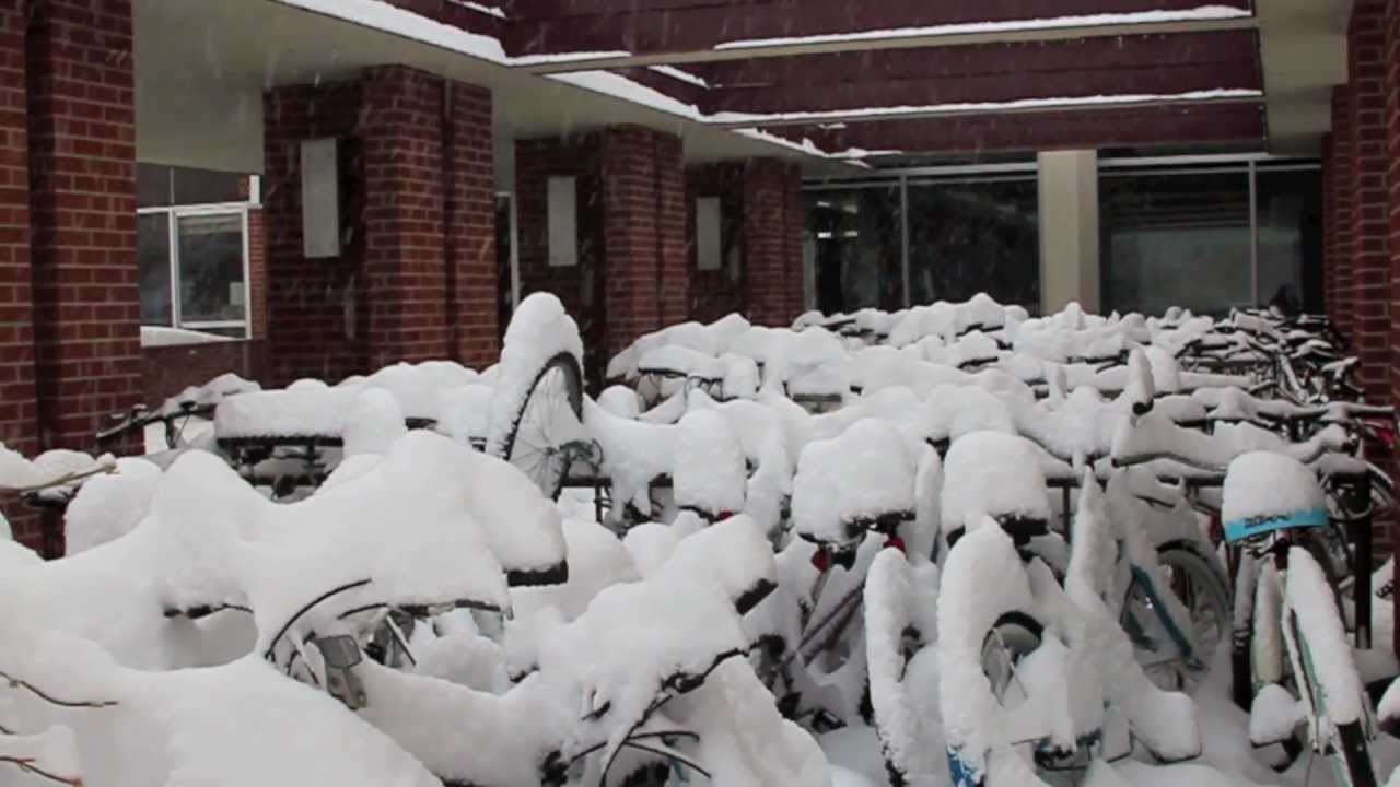 MSU in Winter YouTube