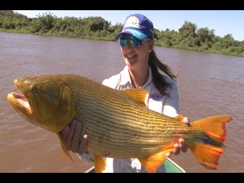 Pesca Pantanal  -  Passo do Lontra Parque Hotel - Programa 01