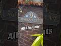 All The Cats #funnyshorts #halloweenhorrornights #hhn #hhn32 #halloweenattraction #catlady