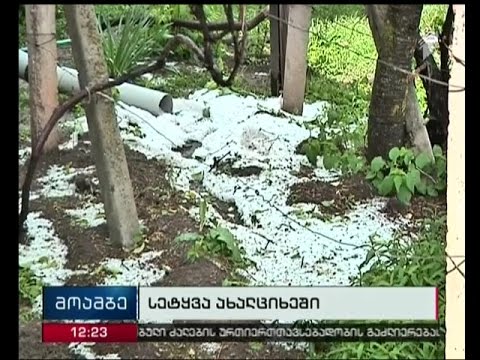 დატბორილი  სარდაფები და განადგურებული ნარგავები - სტიქია სოფელ მუსხში