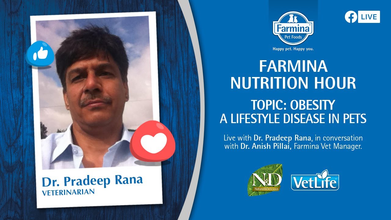 dr rana niti bagh pet clinic