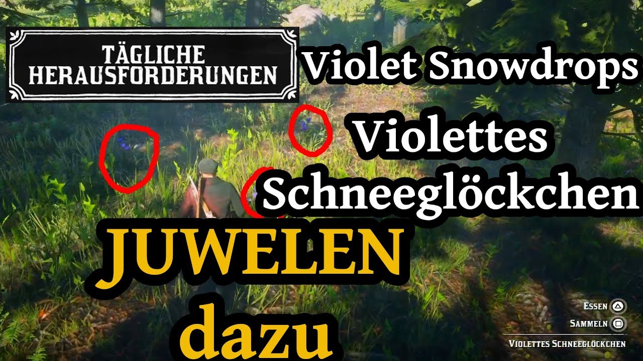 Violettes Schneeglöckchen Puma Juwelen Red Dead Redemption 2 Online