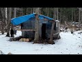 Осень 2022. День в тайге