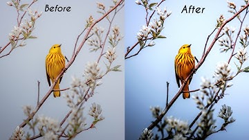 Snapseed Photo Editing Using Curves Tool | Snapseed | ABHI CREATION