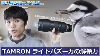 あこがれの青い鳥とTAMRON 100-400mm F/4.5-6.3 Di USDの解像力