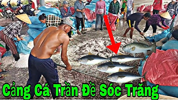 Khám phá cảng cá Trần Đề Sóc Trăng
