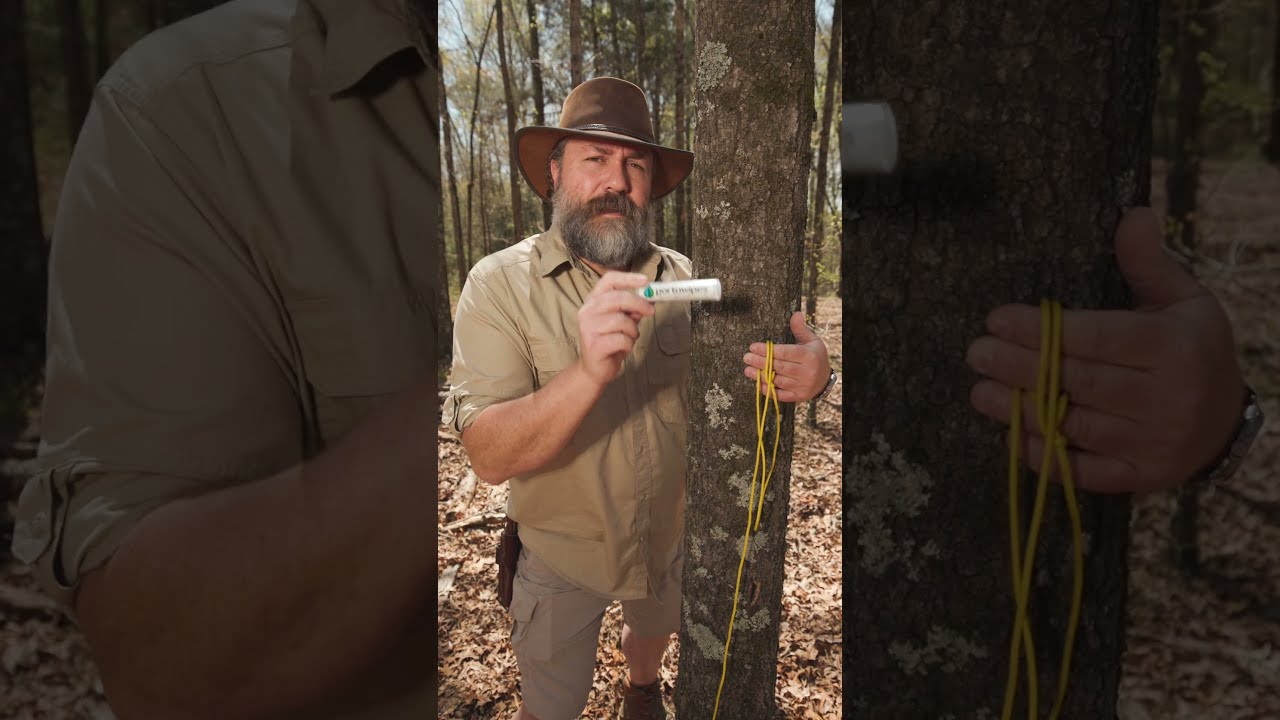 EVERY Camper SHOULD Be Using This Survival Bushcraft Camping