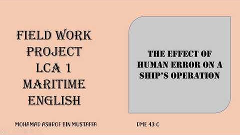 THE EFFECTS OF HUMAN ERROR IN A SHIP