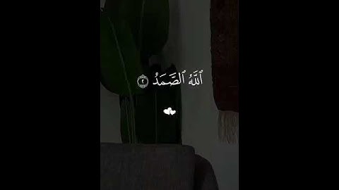 سورة الاخلاص بصوت الشيخ ماهر المعيقلي 🤍 تلاوة مؤثرة 🥹 #لايك #اكسبلور