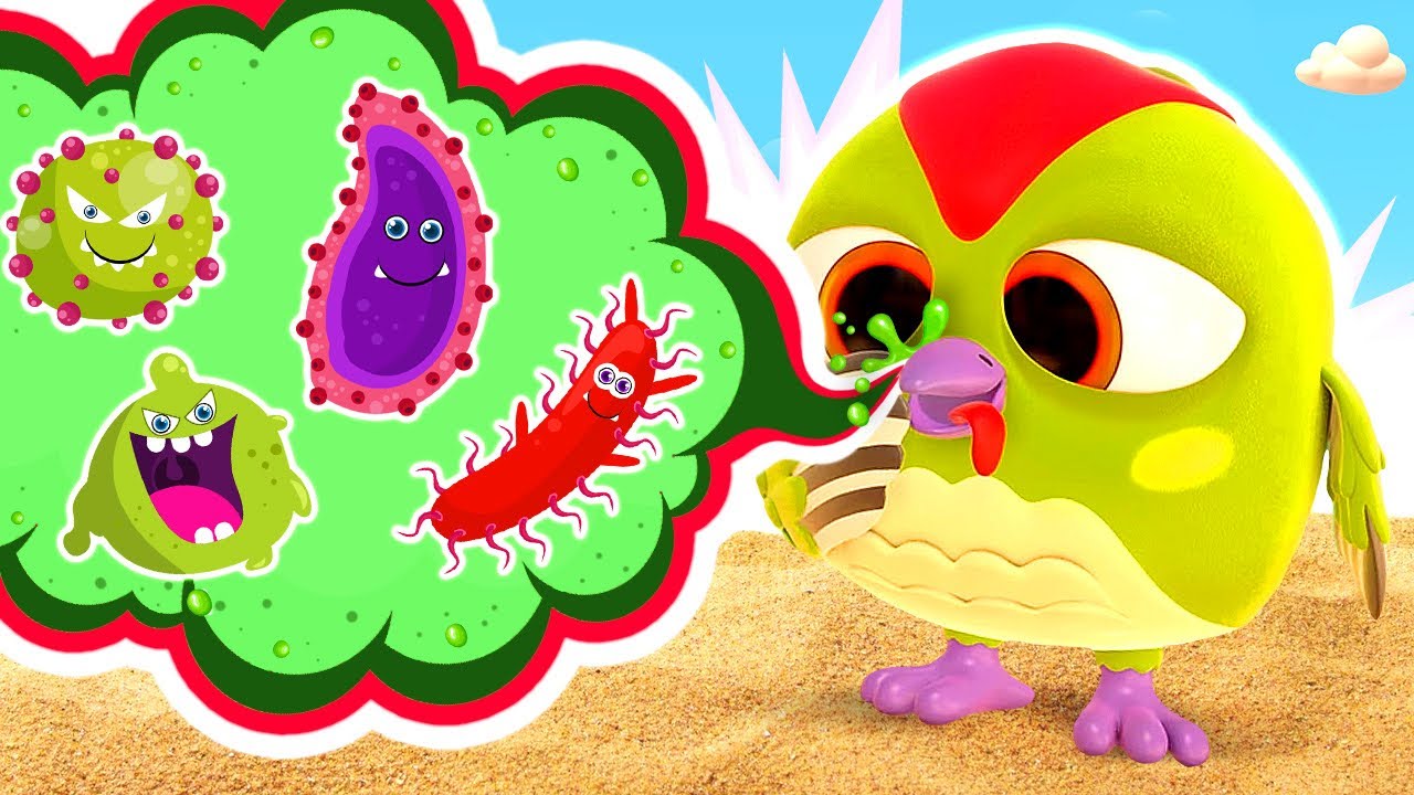 Les oiseaux amusants et leurs leçons rigolotes sur l'hygiène ! Chansons pour les petits