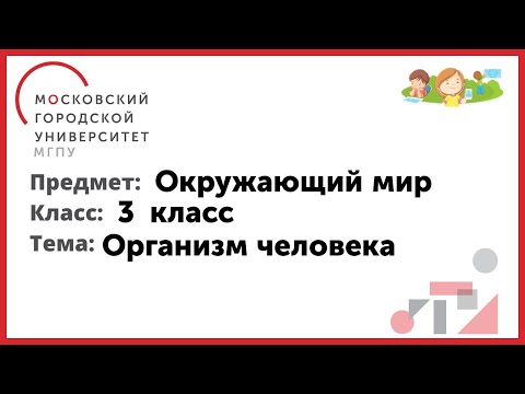 Организм человека 3 класс видеоурок