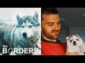 Dog Breeding and Sled Dogs