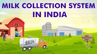 Milk Collection System In India