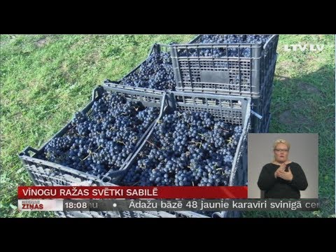 Video: Kā Nokļūt Austrijas Vīnogu Ražas Svētkos