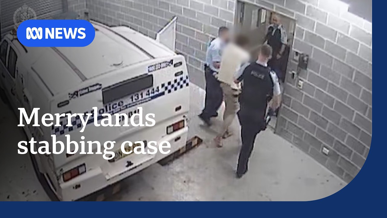 Merrylands stabbing suspect escaped mental health care, court hears | ABC NEWS