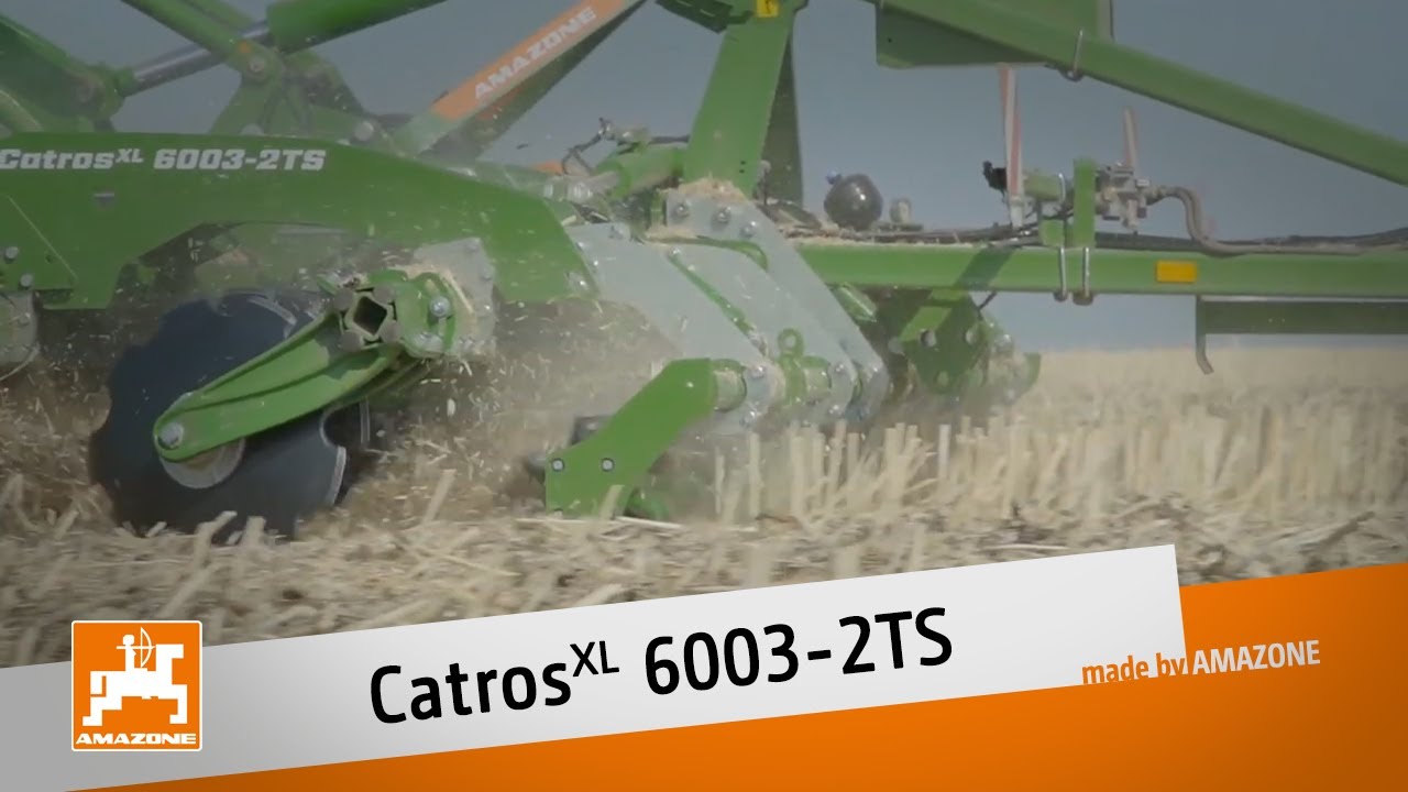 Kompaktscheibenegge CatrosXL 6003-2TS mit Messerwalze und Strohstriegel | AMAZONE