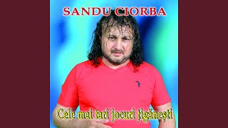 Video thumbnail of "Sandu Ciorba - Lumea Asta Nu-I A Mea"