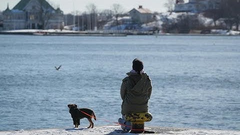Finland again named the happiest country on Earth