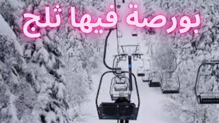 بورصة الخضراء|الثلج في بورصه