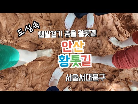   서울 도심속 맨발걷기 좋은 길 안산 황톳길