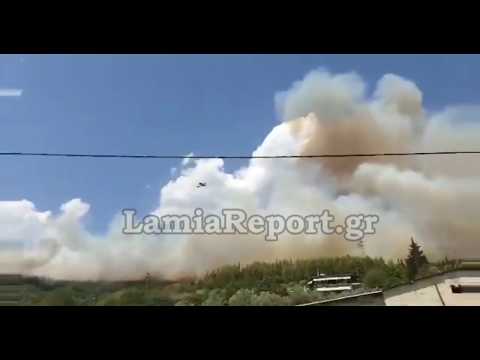 LamiaReport.gr: Φωτιά στη Δυτική Φθιώτιδα